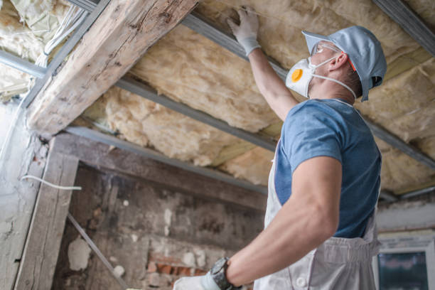 Best Cellulose Insulation in Beach City, TX
