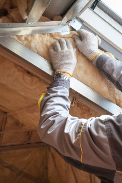 Best Eco-Friendly Insulation in Beach City, TX