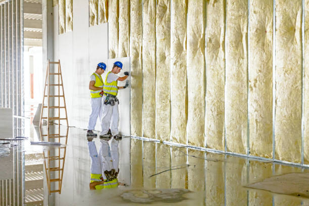 Best Specialized Insulation Services in Beach City, TX